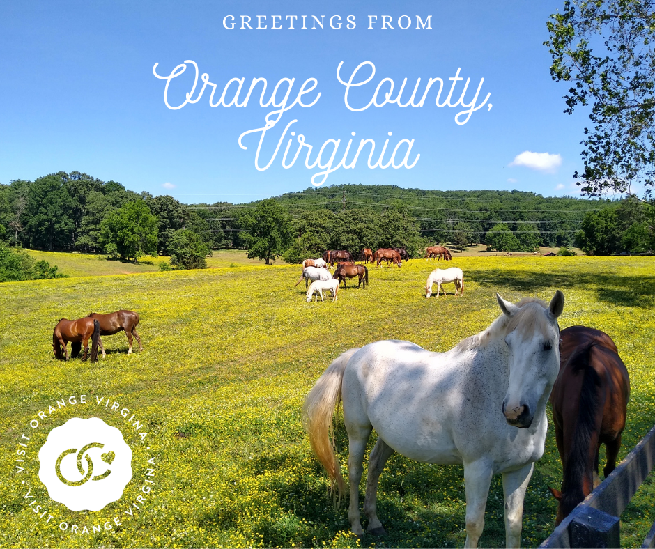 visit orange county va