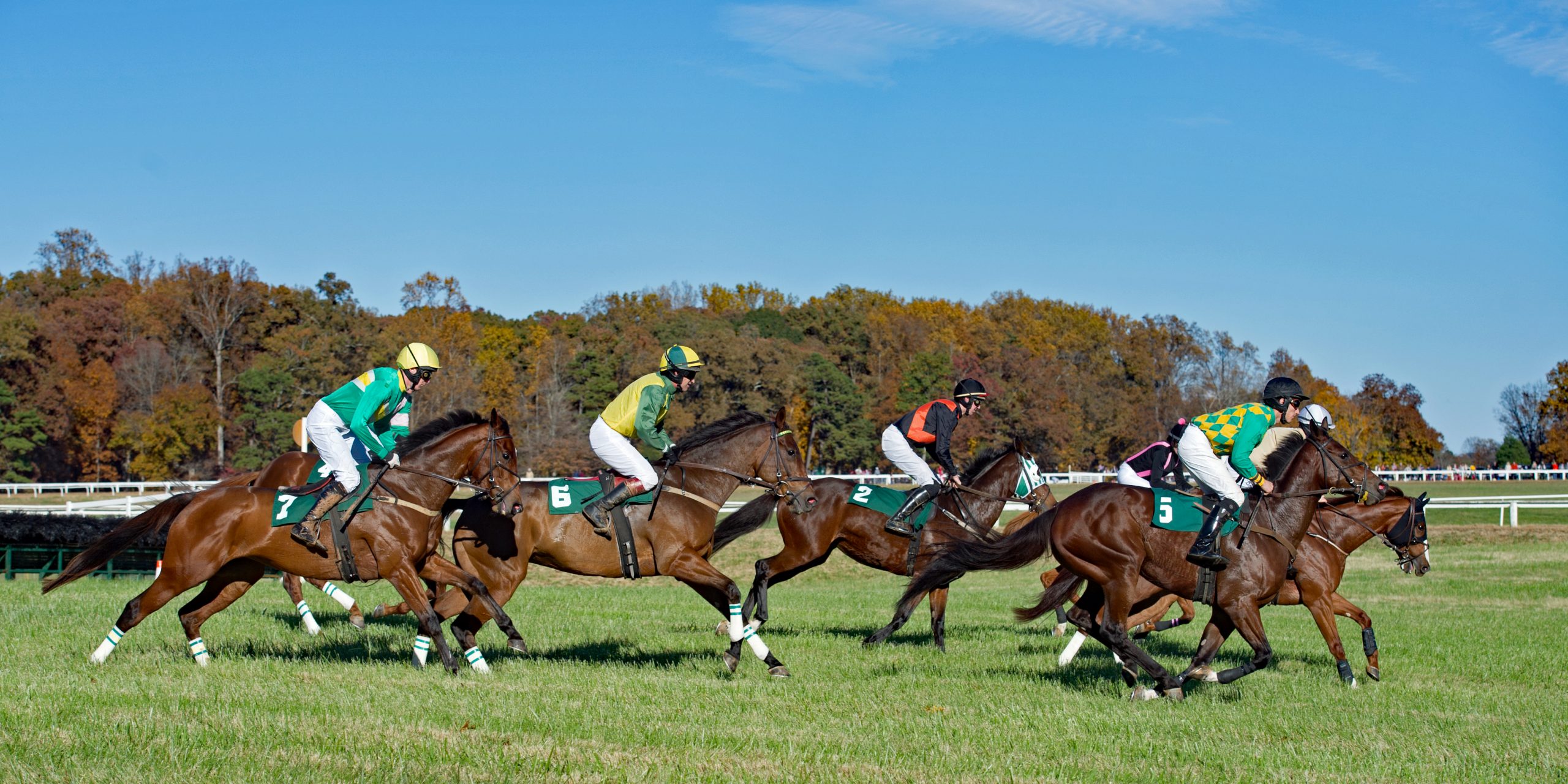 Women in Racing - Marion duPont Scott · Visit Orange County Virginia