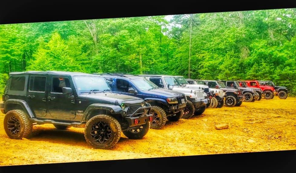 jeeps lined up
